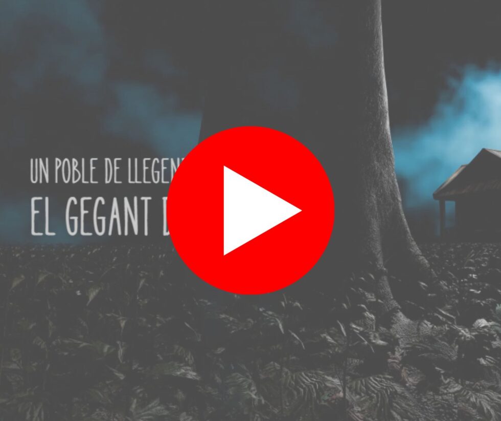 Contes per a la Nit d’Ànimes: històries del nostre folklore per a escoles i famílies |